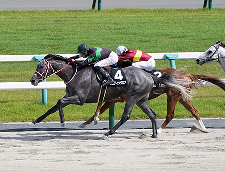 ミスティックロア